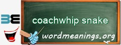 WordMeaning blackboard for coachwhip snake